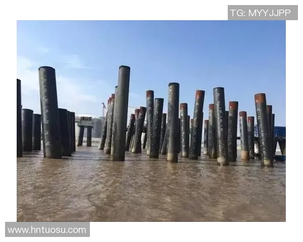 LNG青年赛表现分析：状态起伏与未来发展潜力探讨